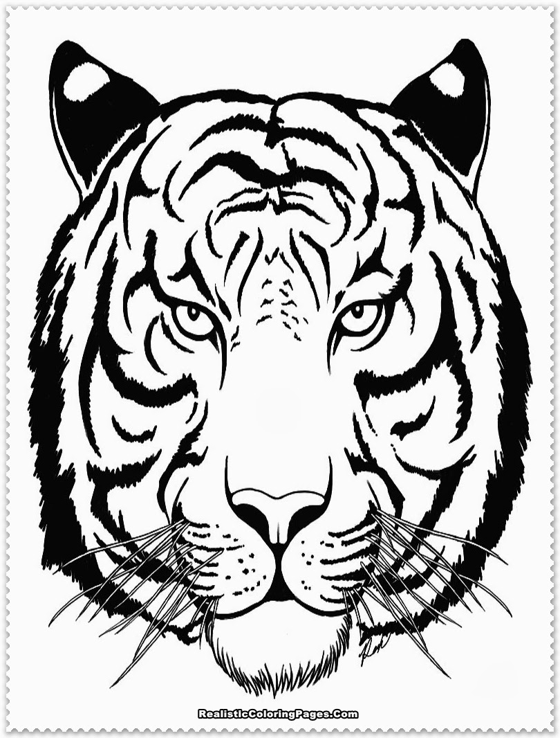 90 Printable Tiger Coloring Pages for Kids 57