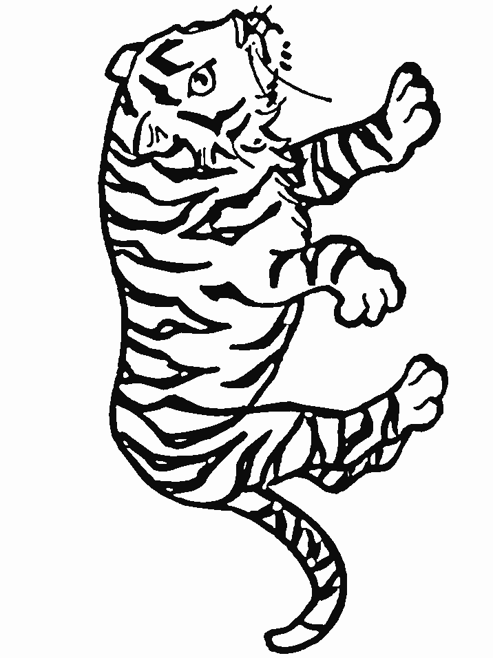 90 Printable Tiger Coloring Pages for Kids 6