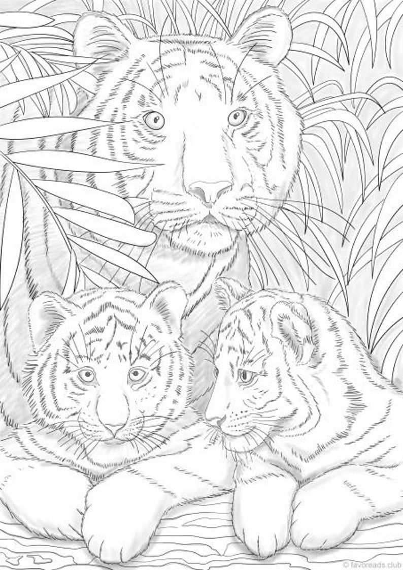 90 Printable Tiger Coloring Pages for Kids 65