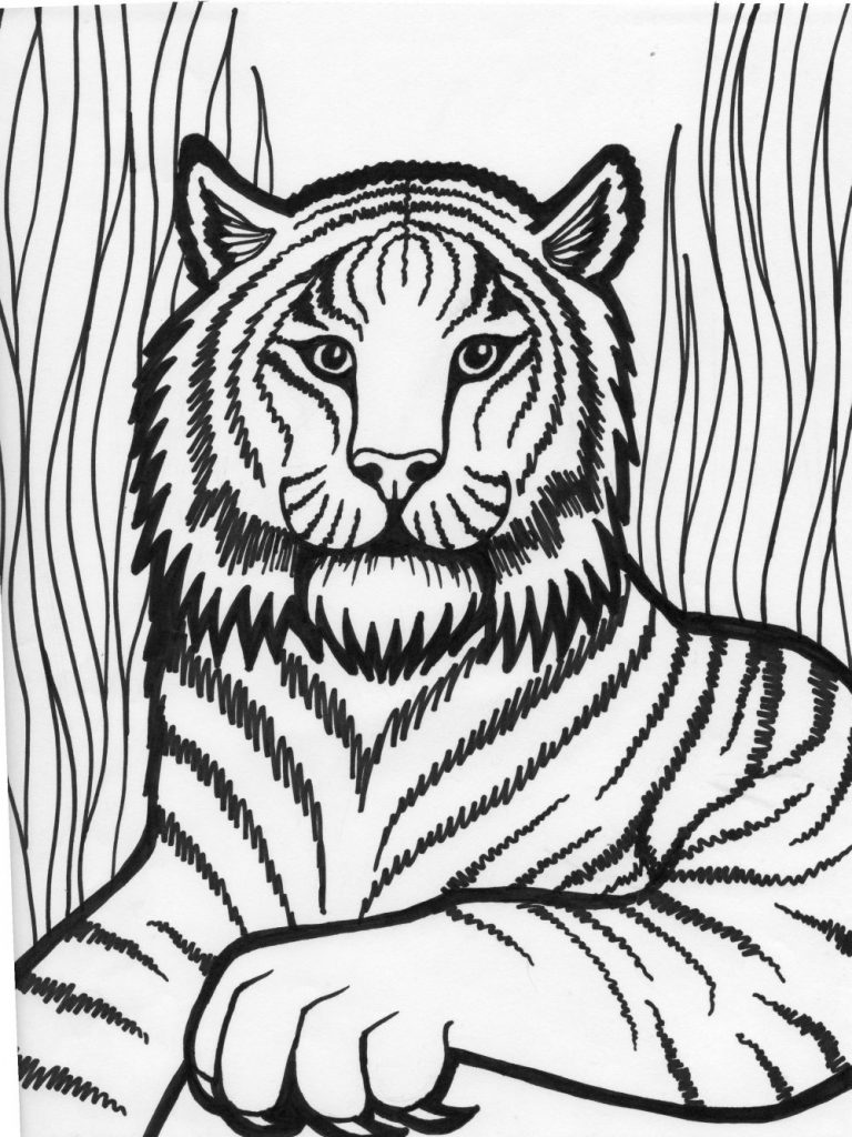 90 Printable Tiger Coloring Pages for Kids 71