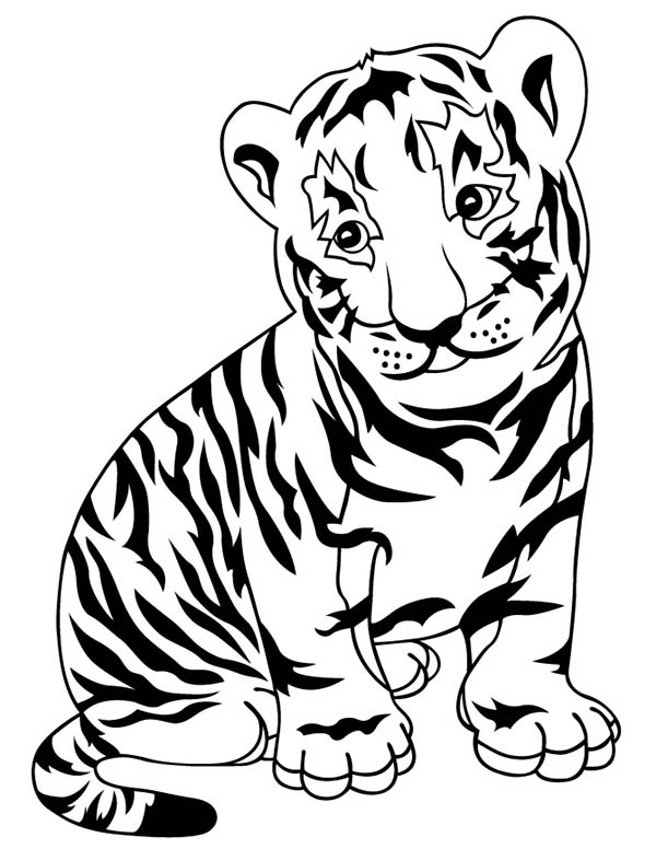 90 Printable Tiger Coloring Pages for Kids 75