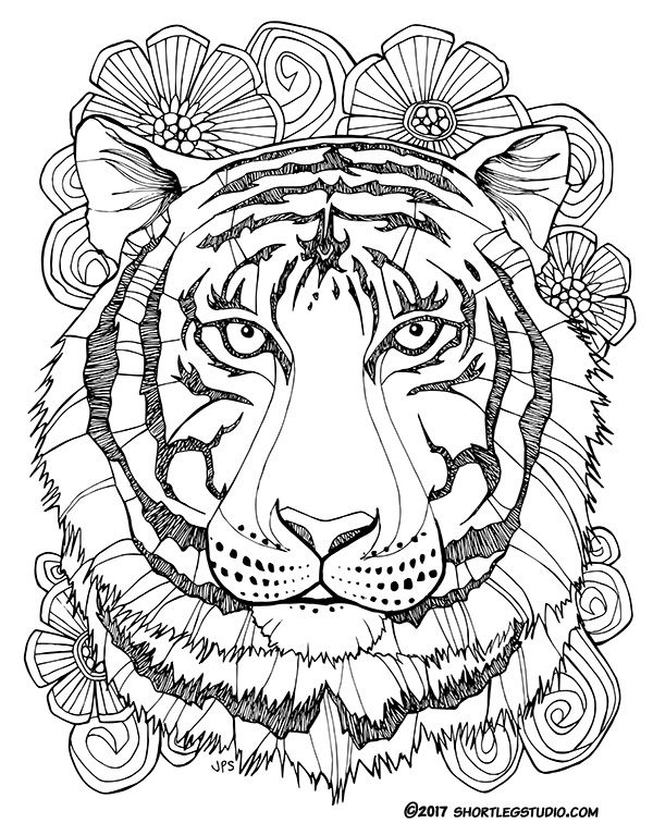 90 Printable Tiger Coloring Pages for Kids 81