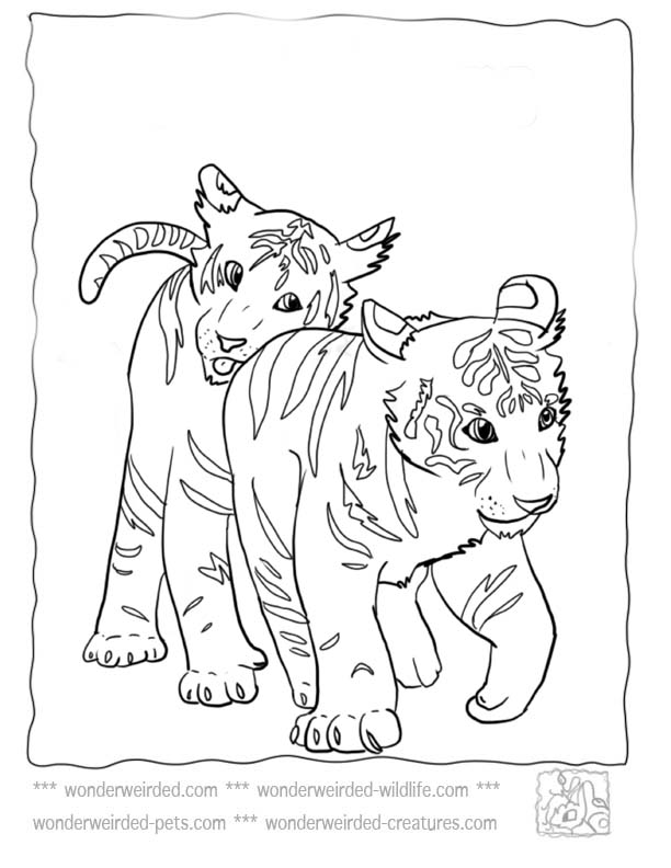 90 Printable Tiger Coloring Pages for Kids 89