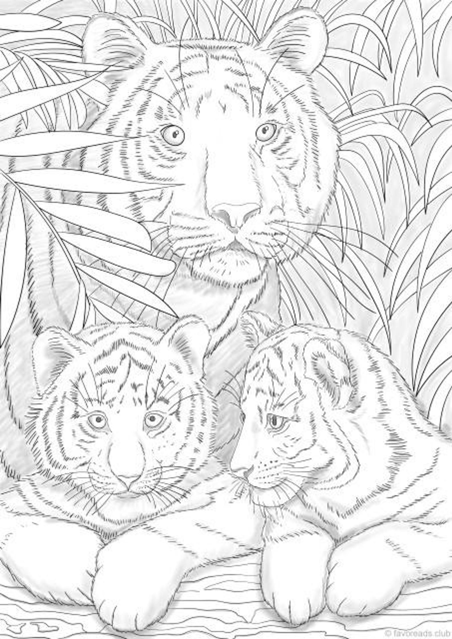 90 Printable Tiger Coloring Pages for Kids 9