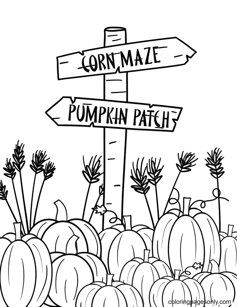 Pumpkin Patch Coloring Pages Printable 15