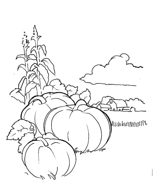 Pumpkin Patch Coloring Pages Printable 18