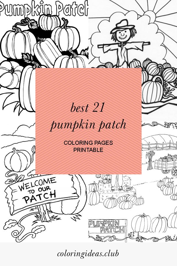 Pumpkin Patch Coloring Pages Printable 24