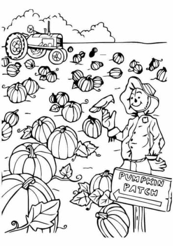 Pumpkin Patch Coloring Pages Printable 3