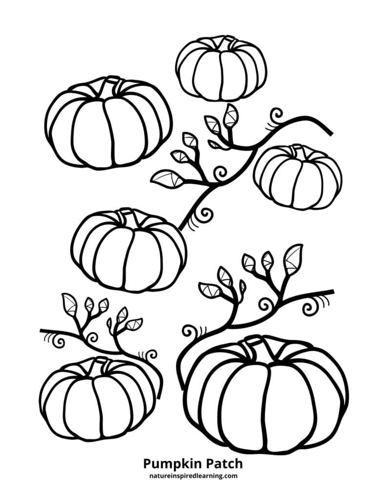 Pumpkin Patch Coloring Pages Printable 4