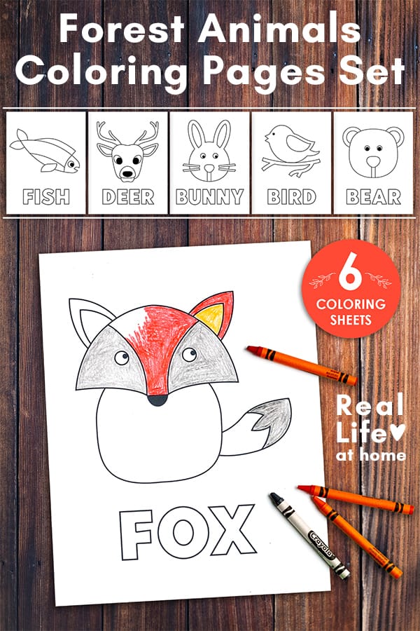 Woodland Forest Animals Coloring Pages Printable 12