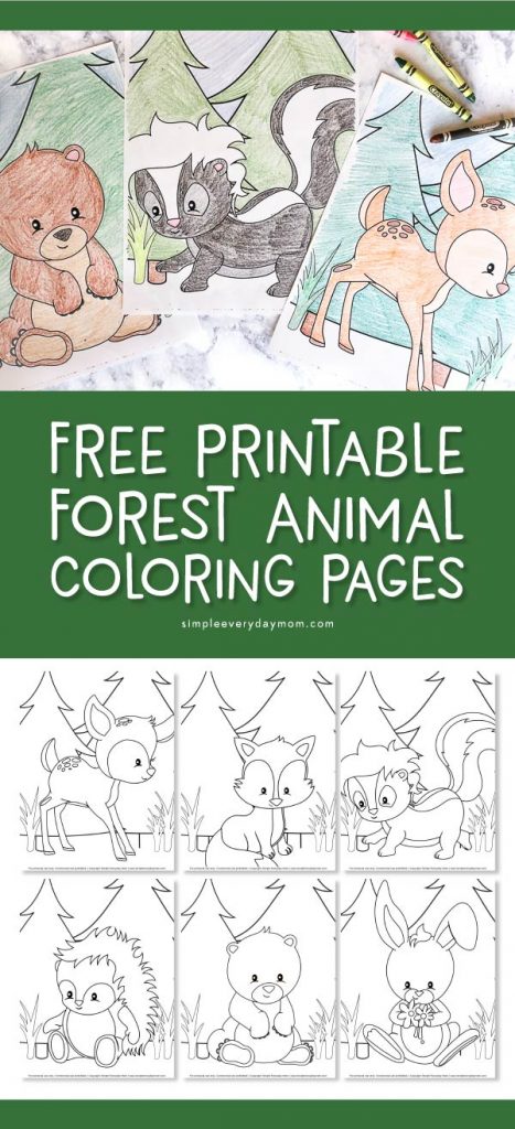 Woodland Forest Animals Coloring Pages Printable 19