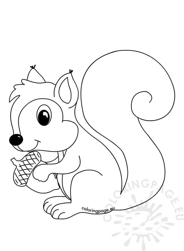 Woodland Forest Animals Coloring Pages Printable 21