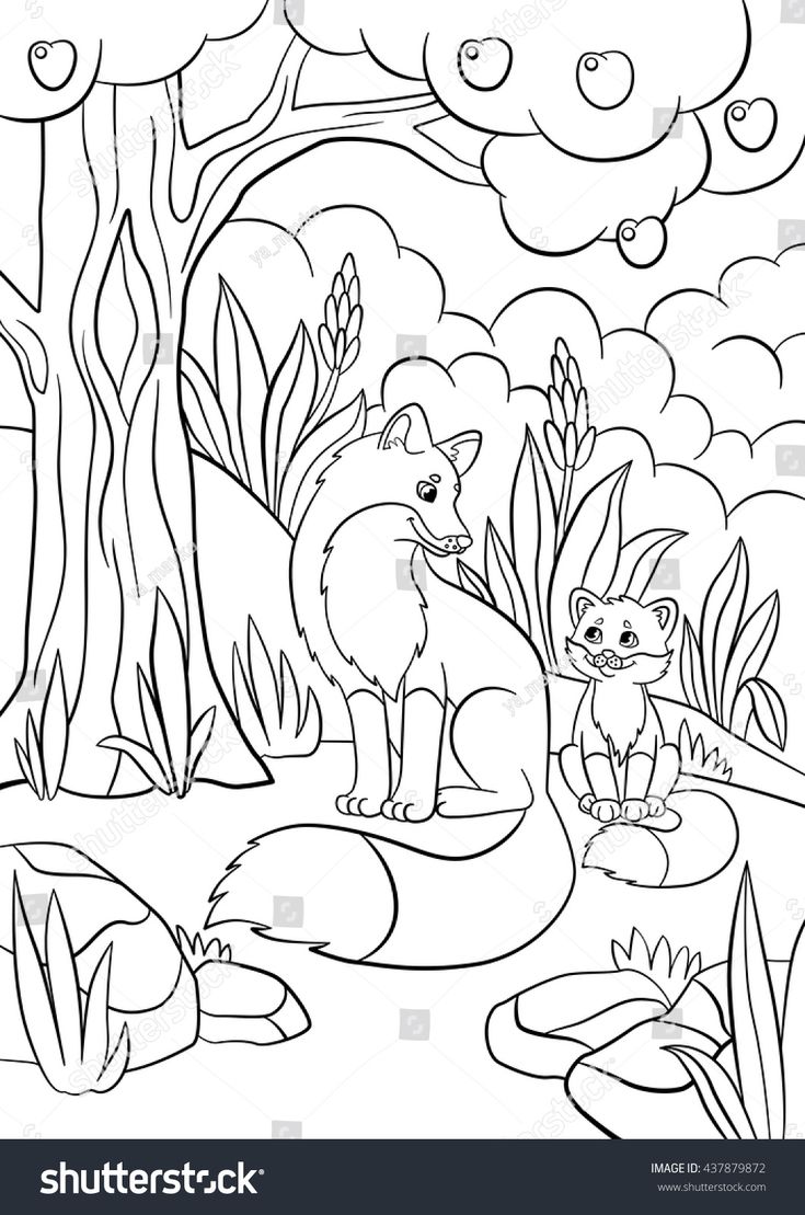 Woodland Forest Animals Coloring Pages Printable 26