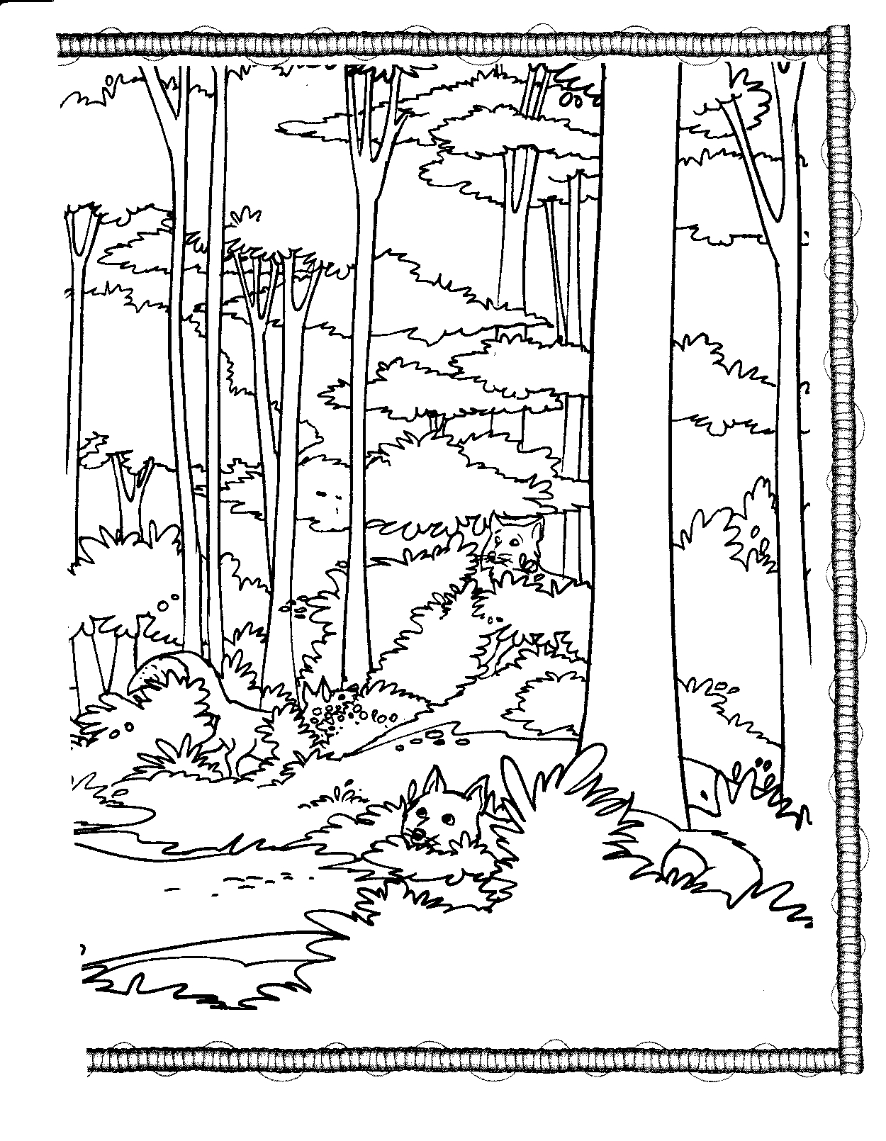 Woodland Forest Animals Coloring Pages Printable 29