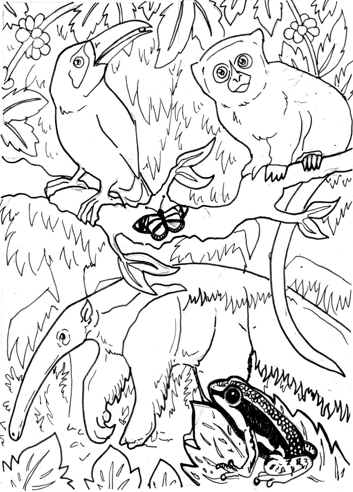 Woodland Forest Animals Coloring Pages Printable 33