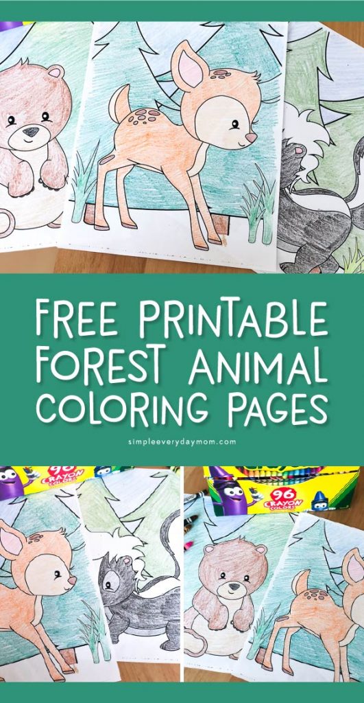 Woodland Forest Animals Coloring Pages Printable 4