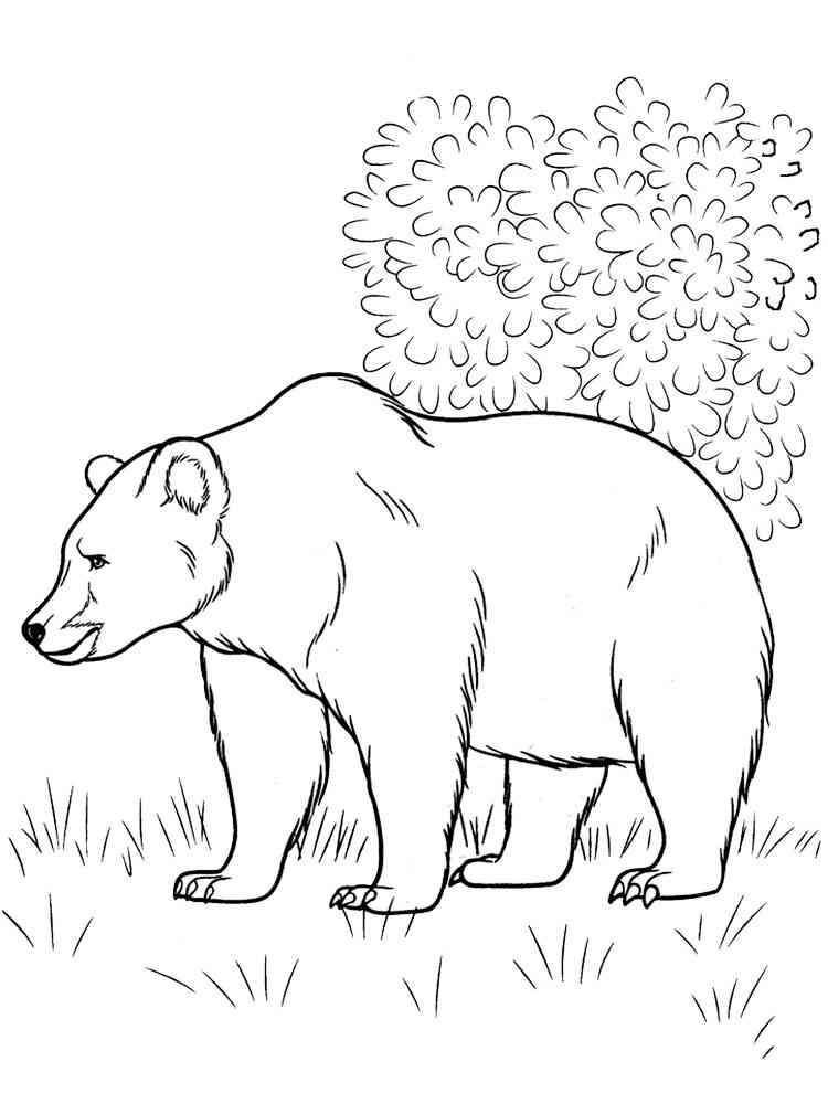 Woodland Forest Animals Coloring Pages Printable 6