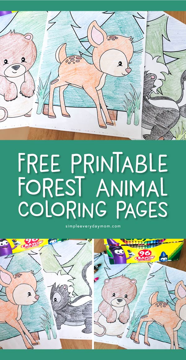 Woodland Forest Animals Coloring Pages Printable 8