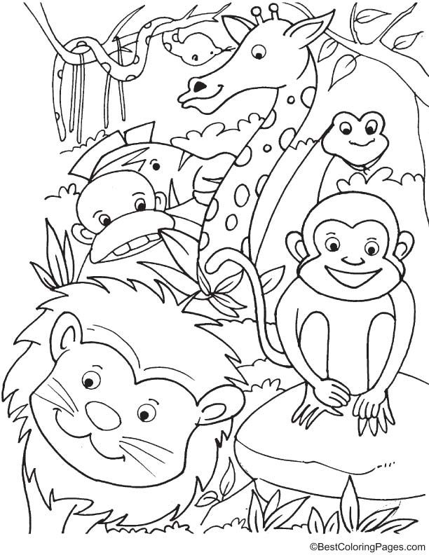 Woodland Forest Animals Coloring Pages Printable 9