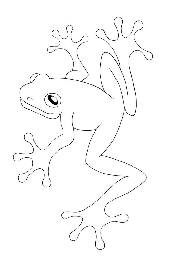 31 Cute Mushroom Frog Coloring Pages Printable 13