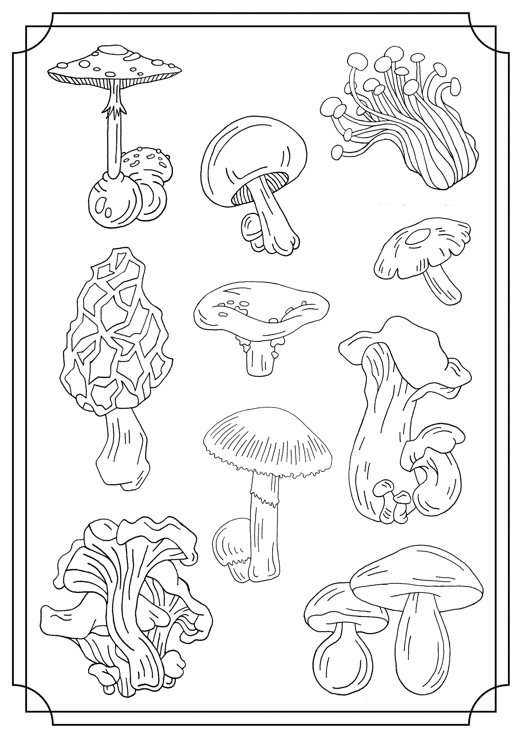 31 Cute Mushroom Frog Coloring Pages Printable 9