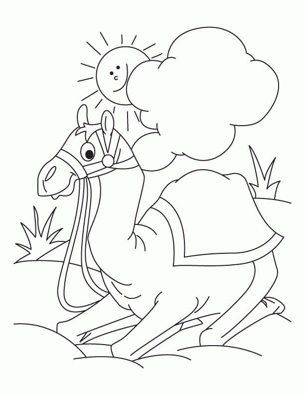 31 Desert Coloring Pages Printable 12