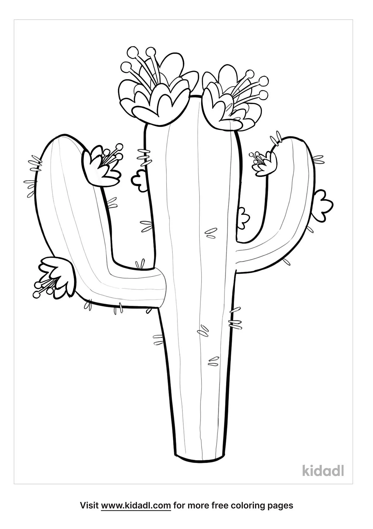 31 Desert Coloring Pages Printable 18