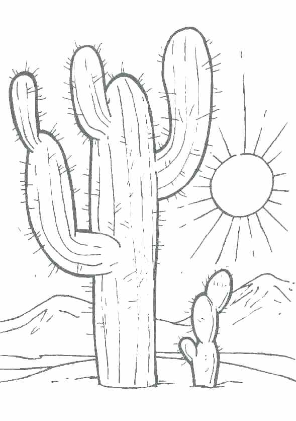 31 Desert Coloring Pages Printable 2