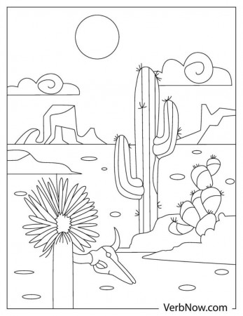 31 Desert Coloring Pages Printable 20