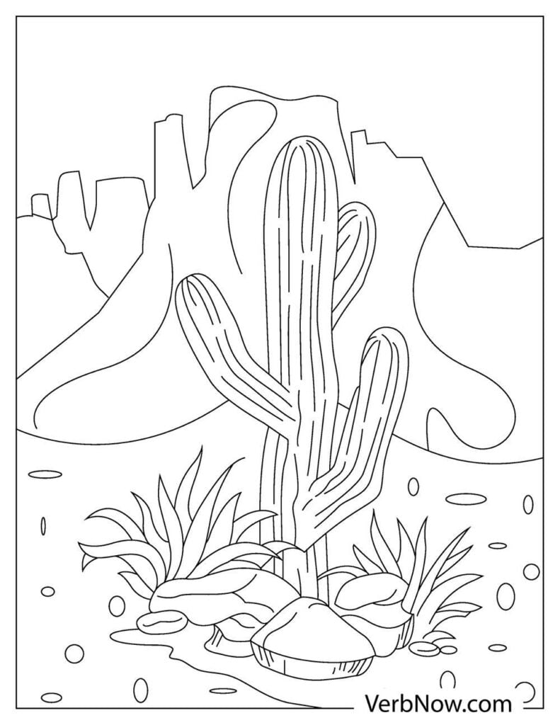 31 Desert Coloring Pages Printable 23