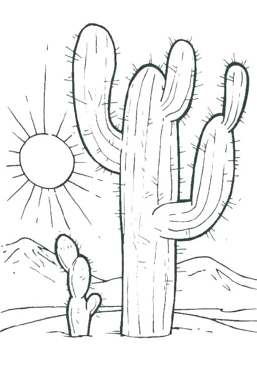 31 Desert Coloring Pages Printable 29