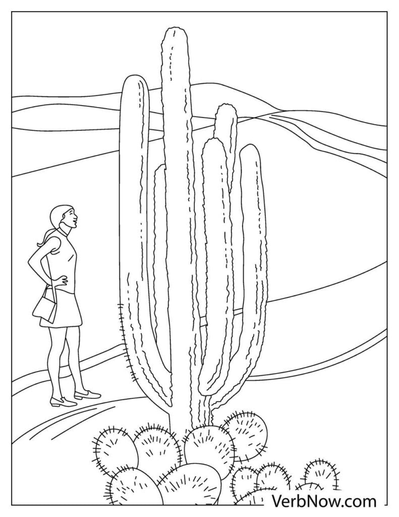 31 Desert Coloring Pages Printable 3