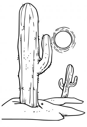 31 Desert Coloring Pages Printable 35