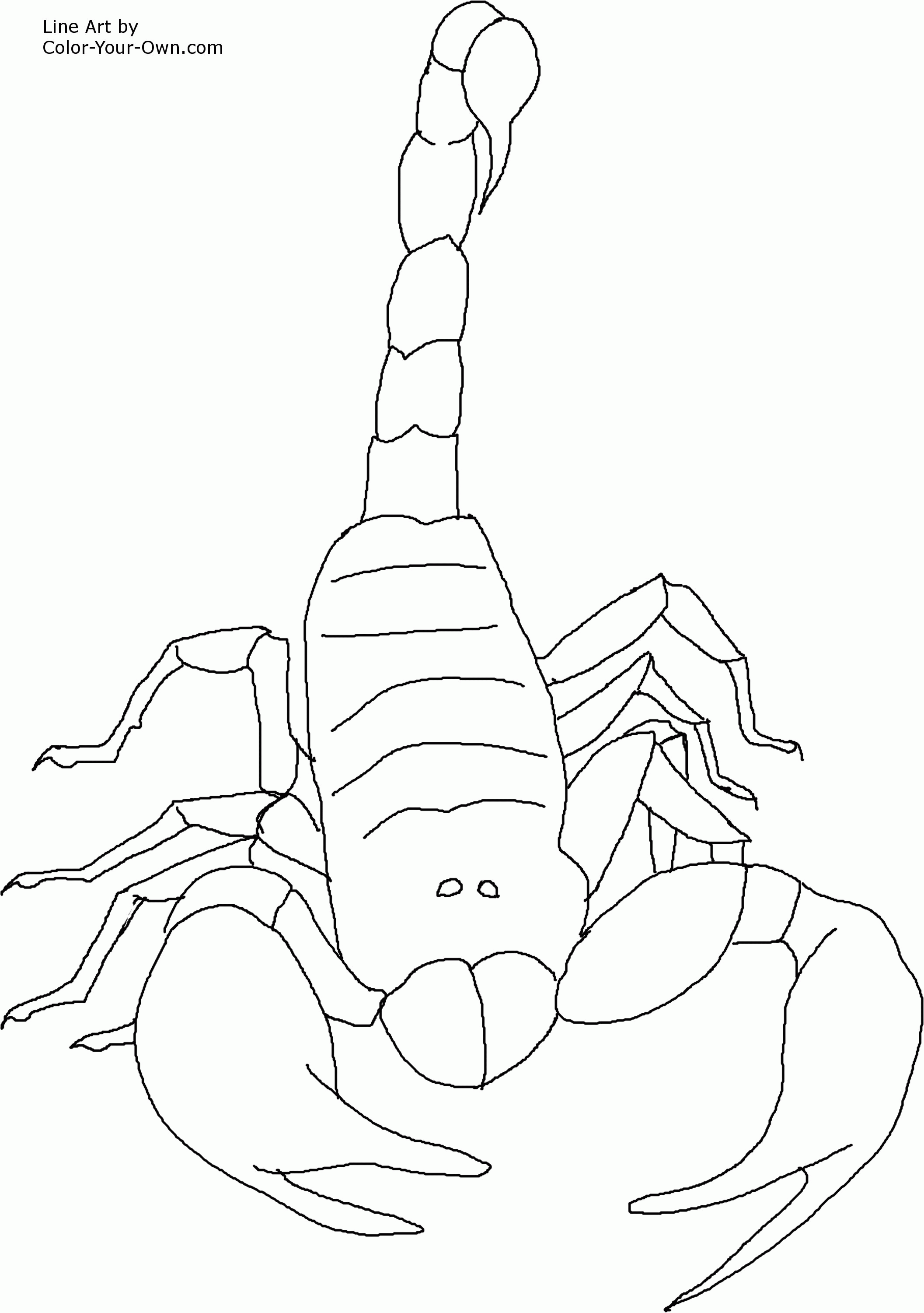 31 Fierce Scorpions Coloring Pages Printable 1