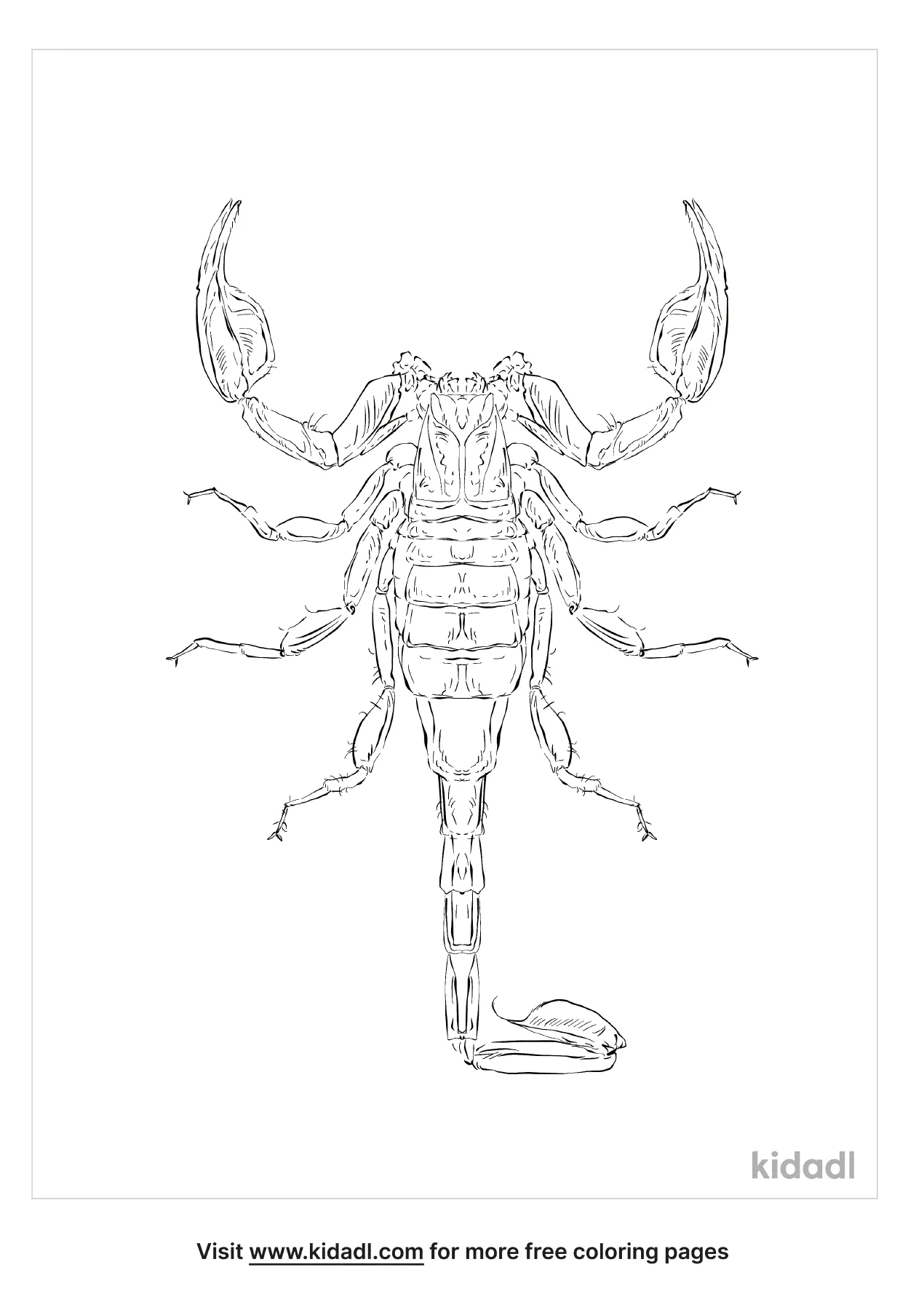 31 Fierce Scorpions Coloring Pages Printable 11