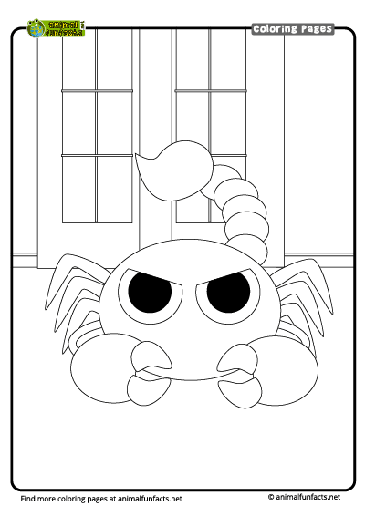 31 Fierce Scorpions Coloring Pages Printable 14