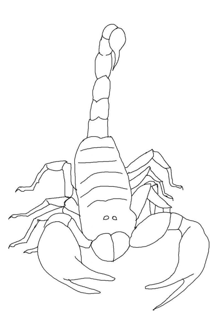 31 Fierce Scorpions Coloring Pages Printable 16