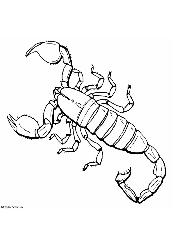 31 Fierce Scorpions Coloring Pages Printable 27