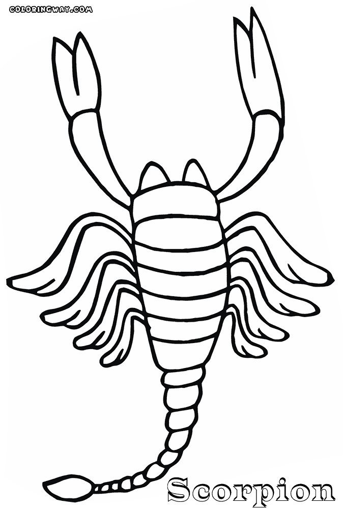 31 Fierce Scorpions Coloring Pages Printable 3