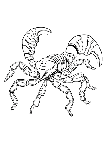 31 Fierce Scorpions Coloring Pages Printable 5