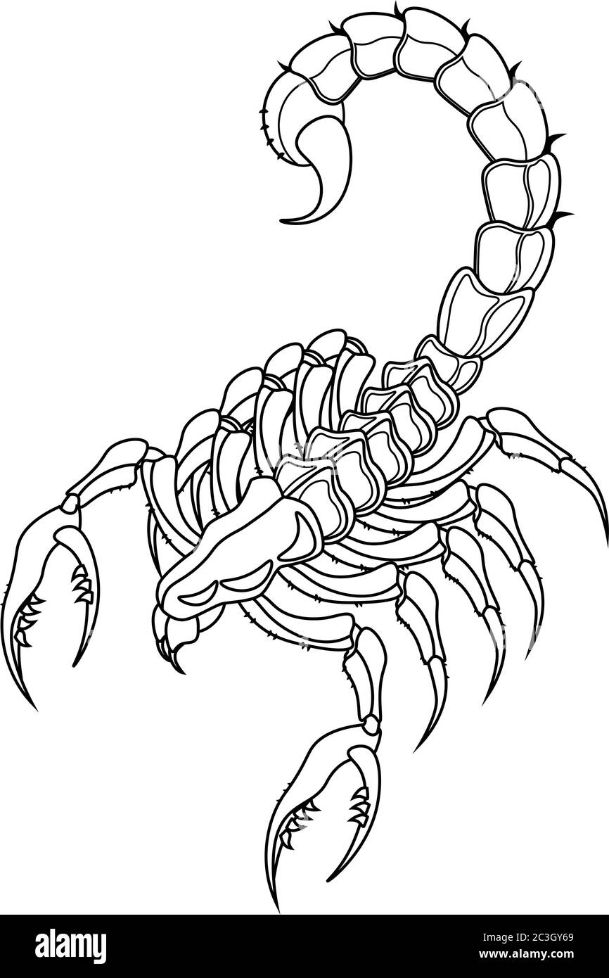 31 Fierce Scorpions Coloring Pages Printable 9