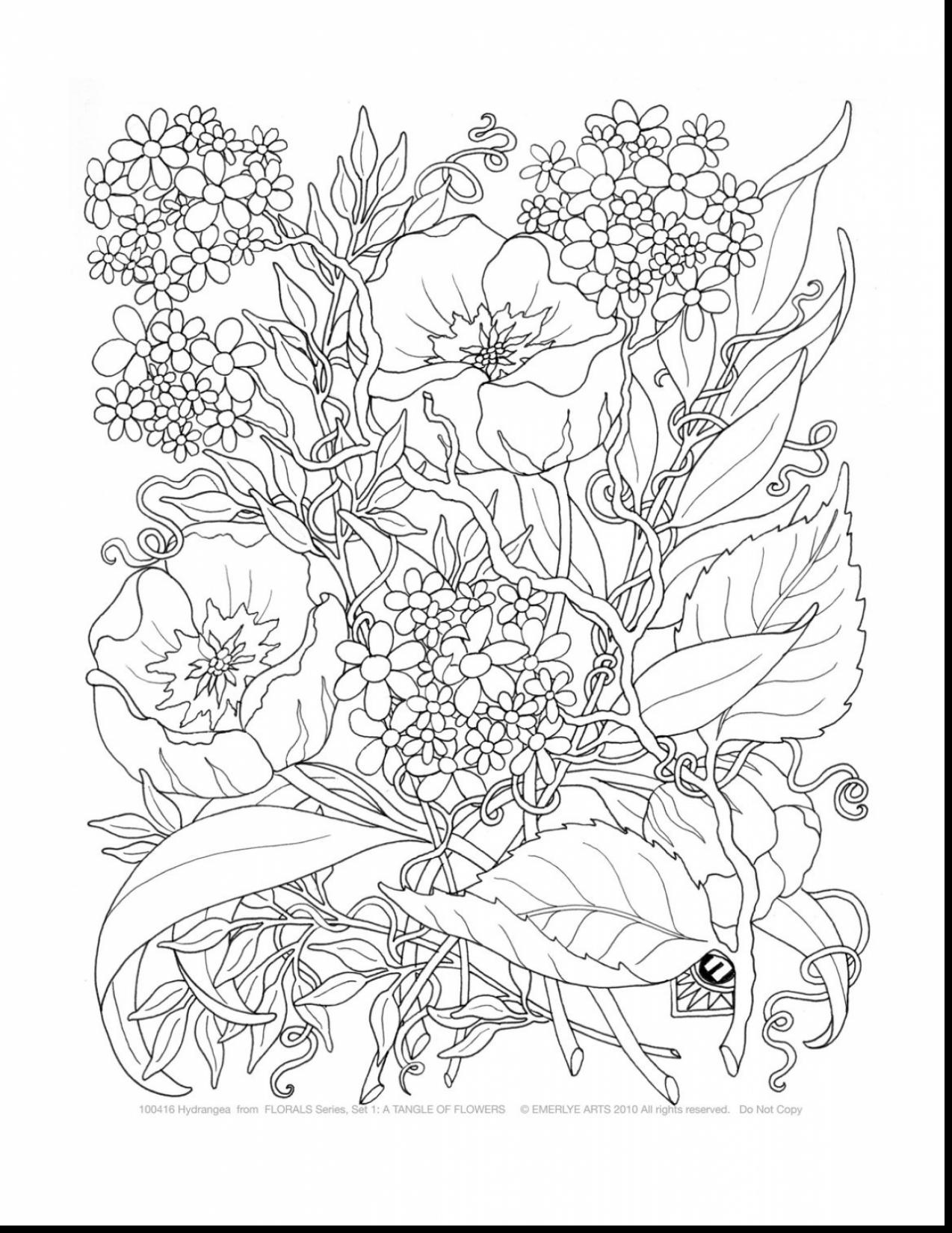 31 Weird Animal Coloring Pages Printable 8