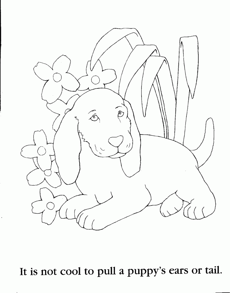 32 Animal Coloring Pages for 8 Year Olds Printable 1