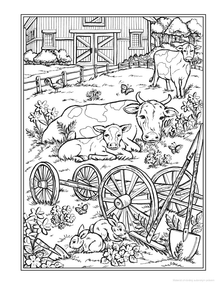 32 Animal Scene Coloring Pages Printable 1