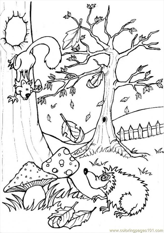 32 Animal Scene Coloring Pages Printable 24