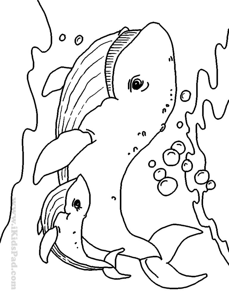 32 Animal Scene Coloring Pages Printable 28