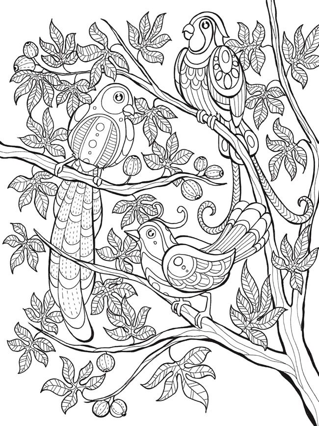 32 Animal Scene Coloring Pages Printable 30