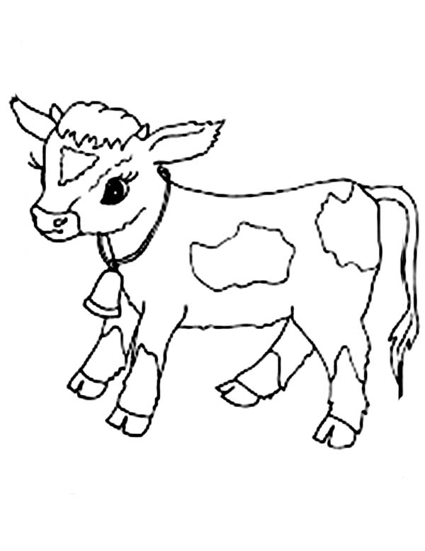 32 Bold Longhorn Coloring Pages Printable 16