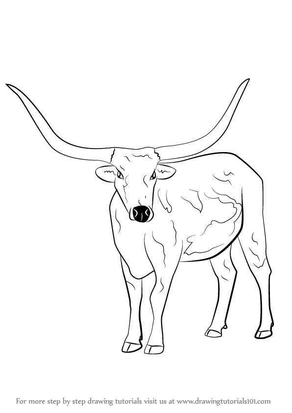 32 Bold Longhorn Coloring Pages Printable 24