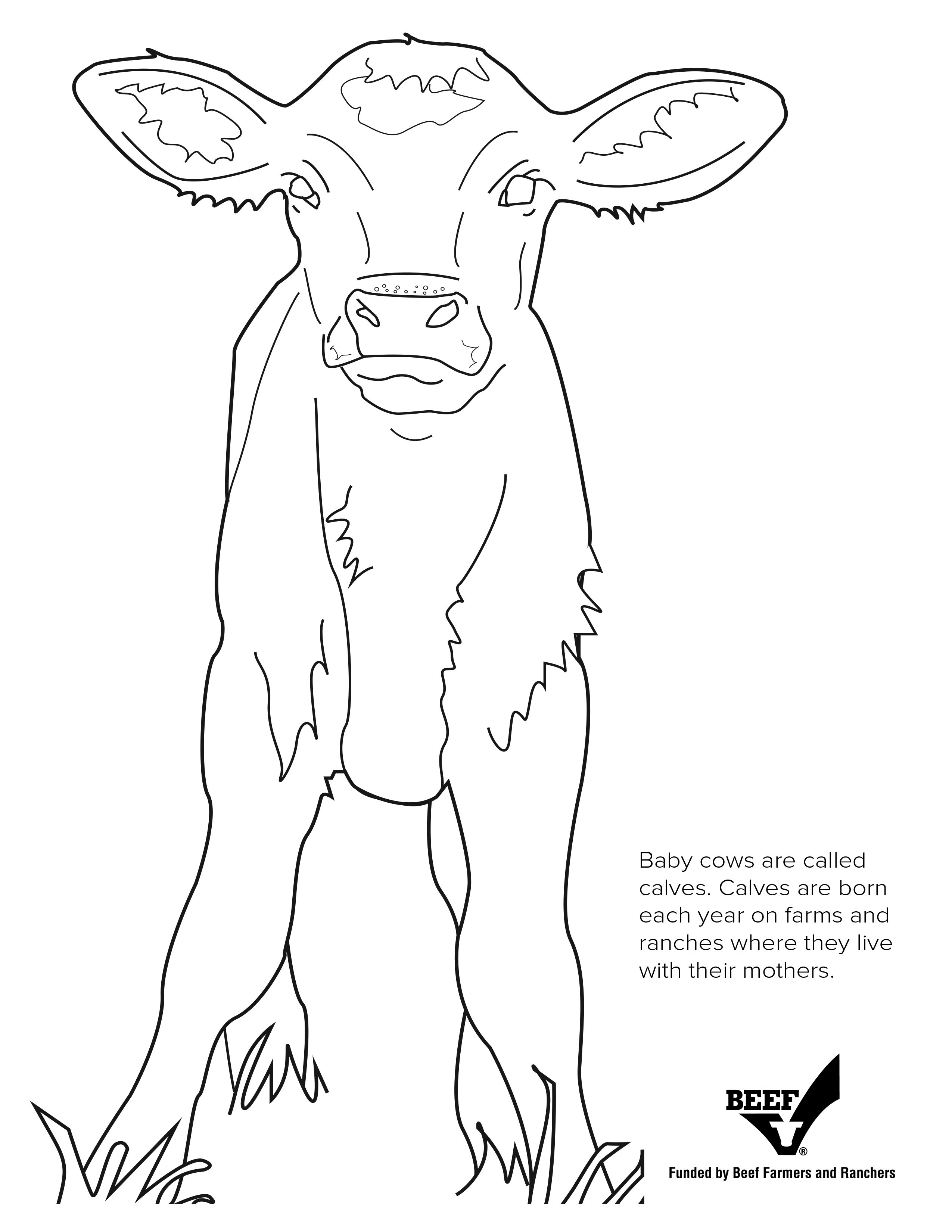 32 Bold Longhorn Coloring Pages Printable 27